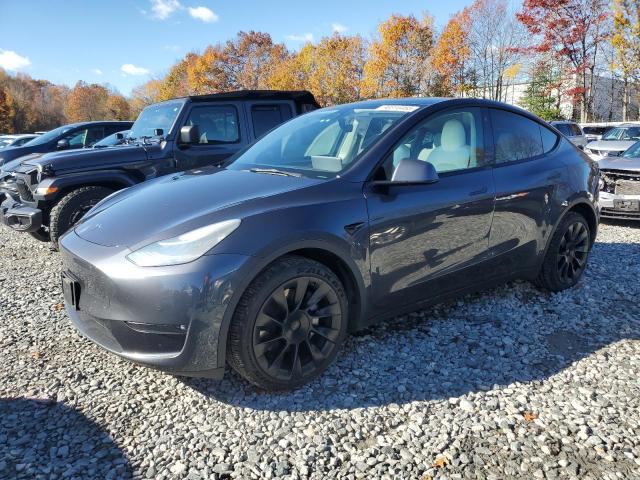 Global Auto Auctions: 2021 TESLA MODEL Y