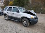Lot #3301661636 2005 FORD ESCAPE XLT