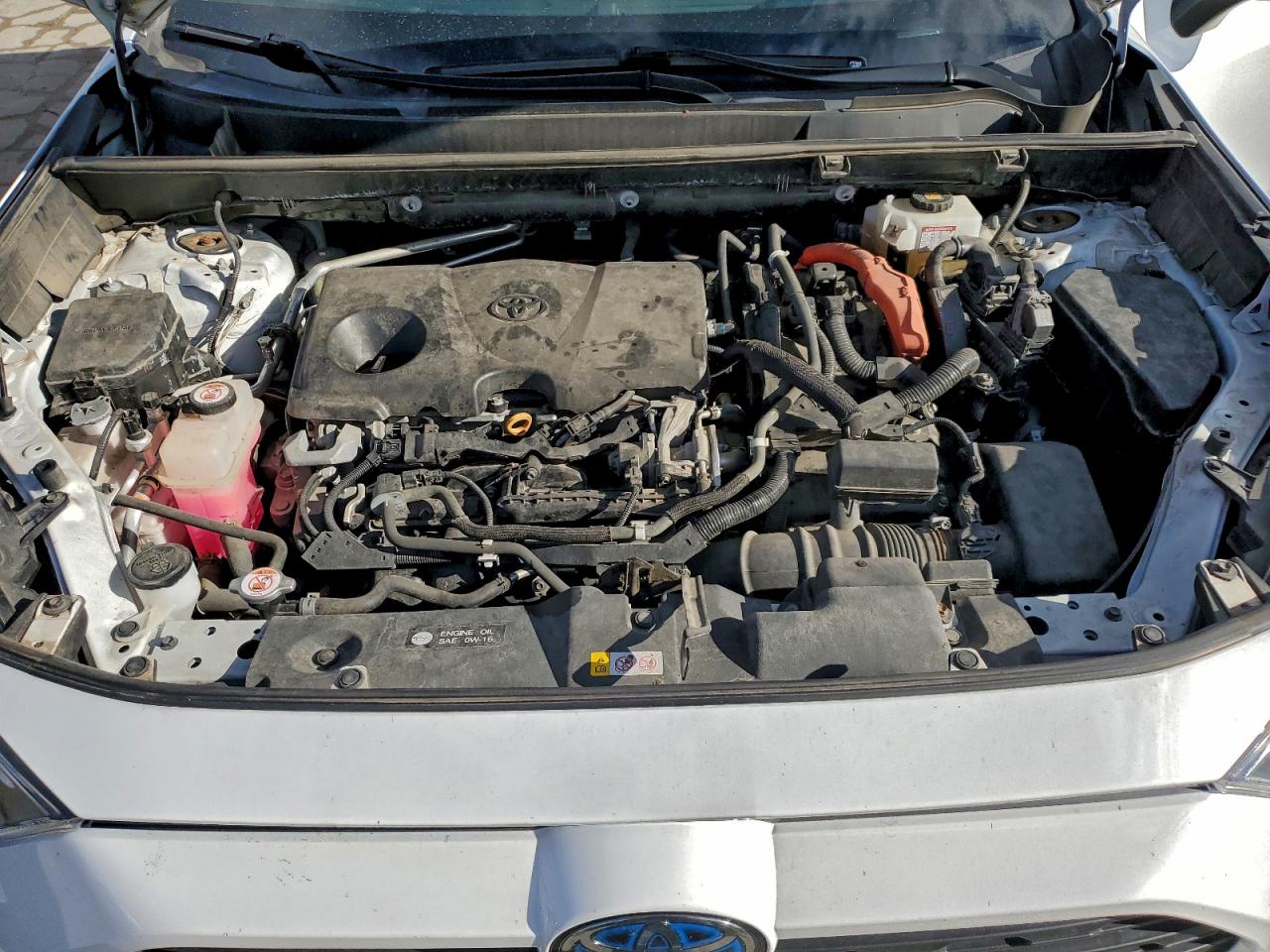 Lot #3316712445 2019 TOYOTA RAV4 XLE