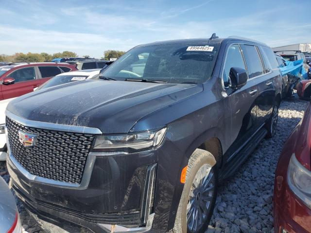 2024 CADILLAC ESCALADE E #3284024804