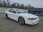 Lot #3316880106 1998 FORD MUSTANG