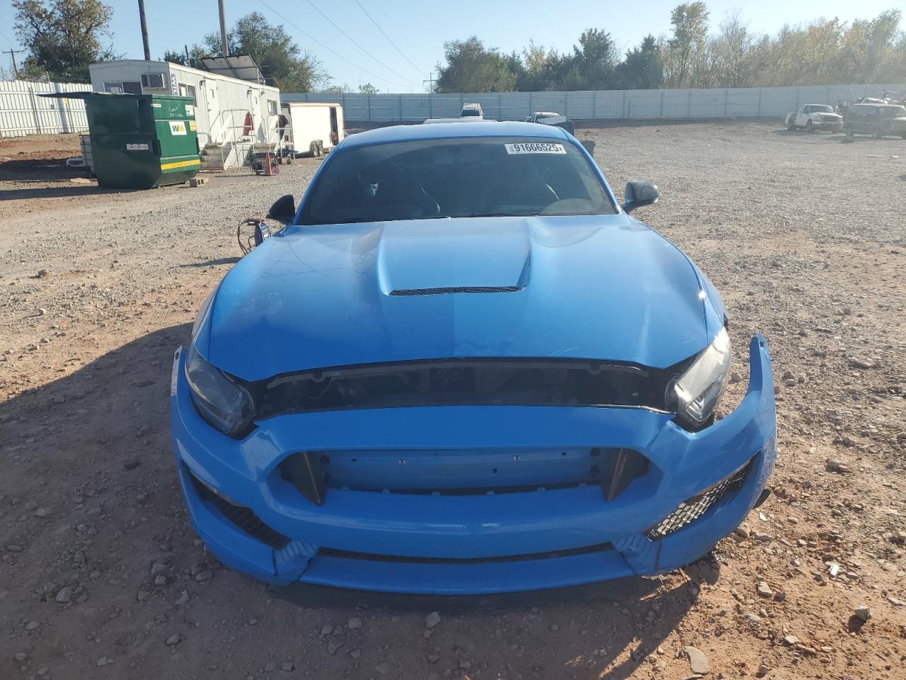 FORD MUSTANG SHELBY GT350