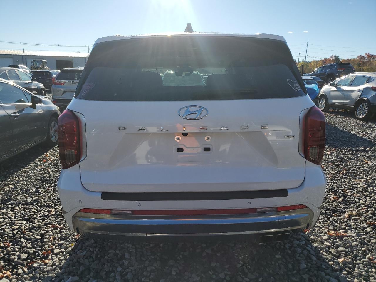 HYUNDAI PALISADE CALLIGRAPHY