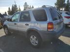 Lot #3292358284 2002 FORD ESCAPE XLT