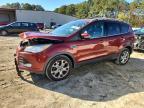 Lot #3292535718 2014 FORD ESCAPE TIT