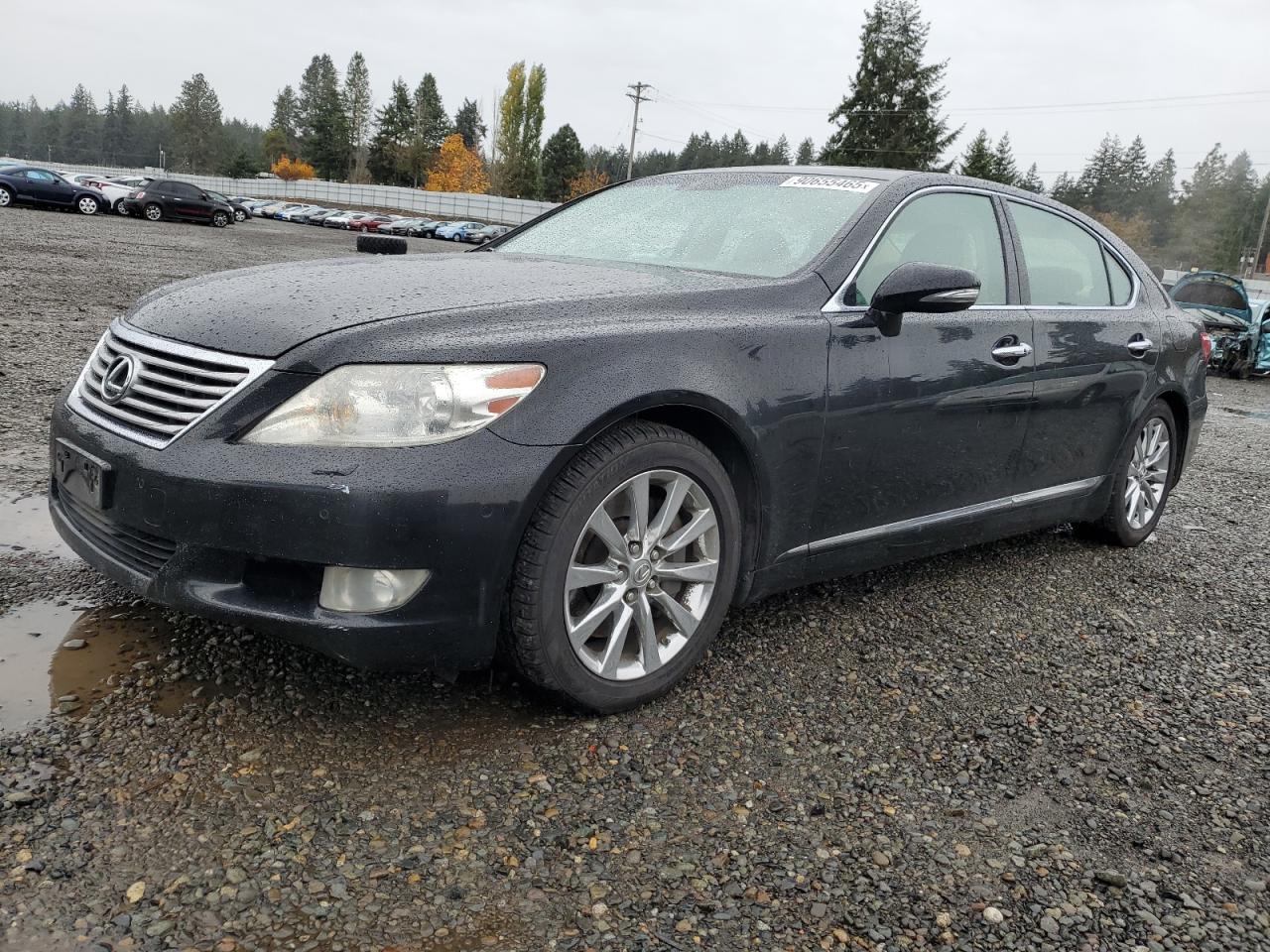 LEXUS LS 460 460L