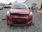 Lot #3292514687 2014 FORD ESCAPE TIT