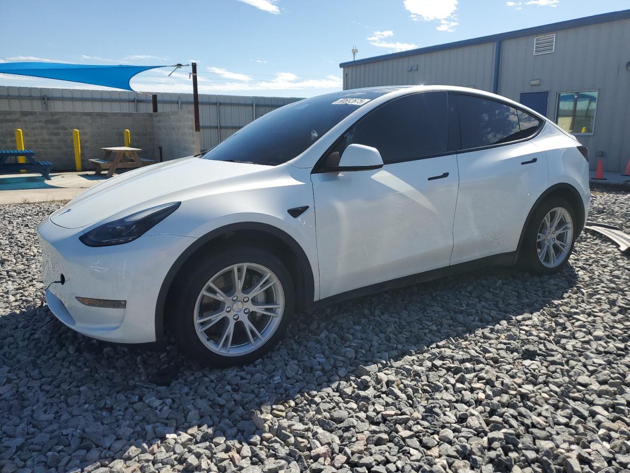 Lot #3302913055 2023 TESLA MODEL Y