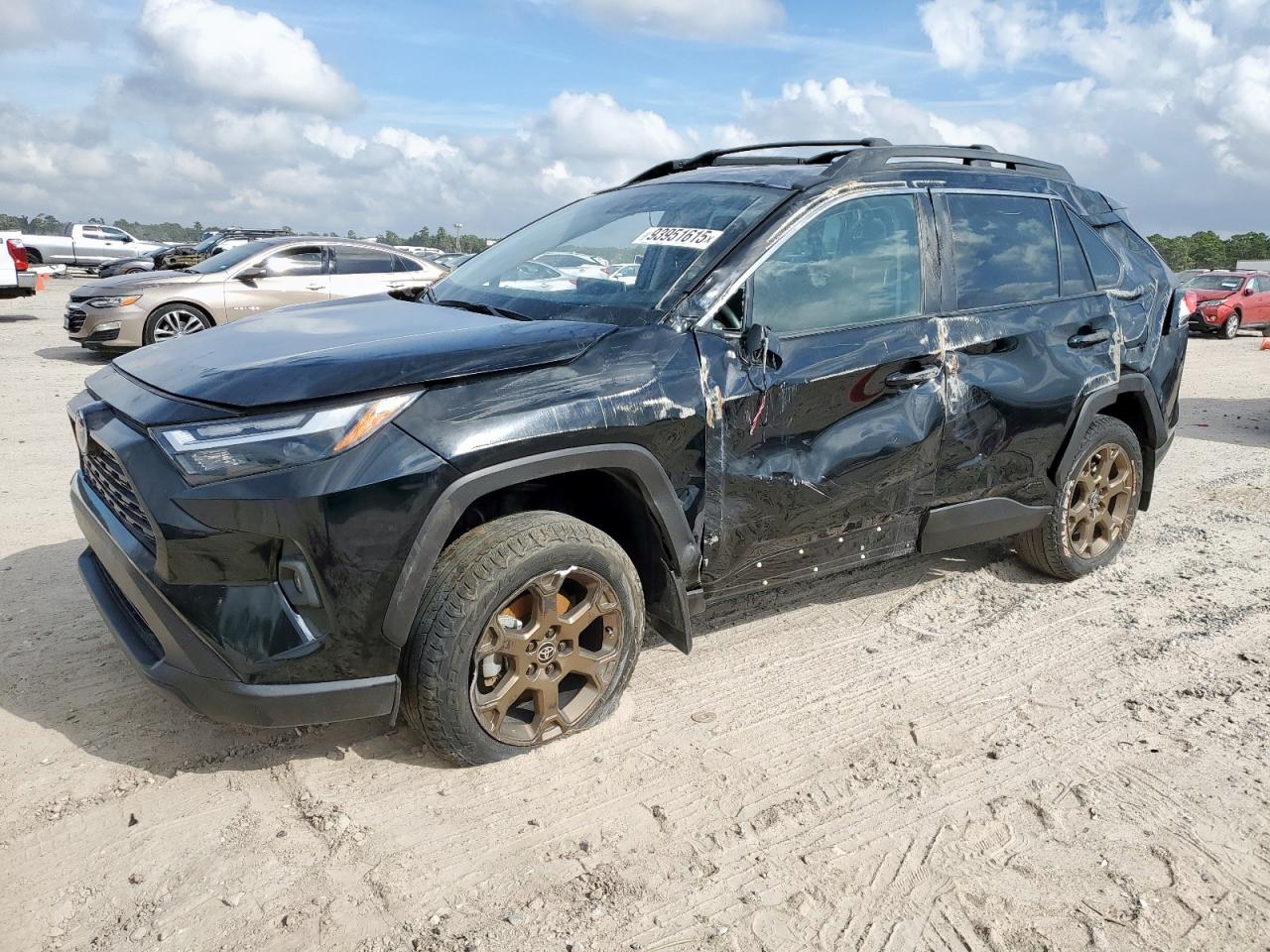 TOYOTA RAV4 WOODLAND EDITION