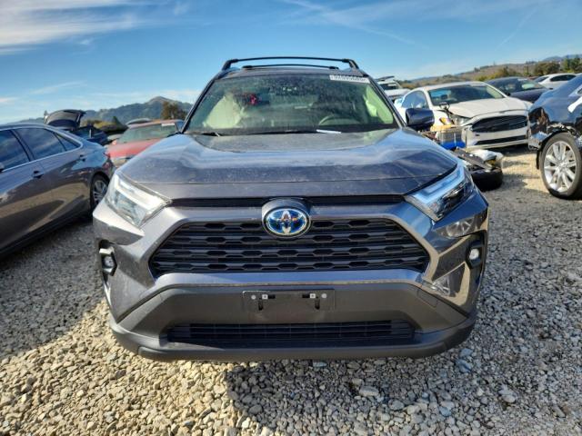 2024 TOYOTA RAV4 XLE P #3304023588