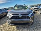 Lot #3304023588 2024 TOYOTA RAV4 XLE P