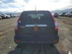Lot #3296293415 2009 HONDA CR-V EXL