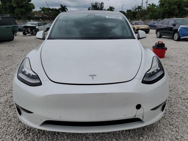 2022 TESLA MODEL Y #3302798938
