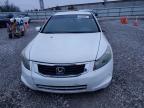 Lot #3311464280 2008 HONDA ACCORD LX