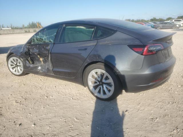 2023 TESLA MODEL 3 #3302683019