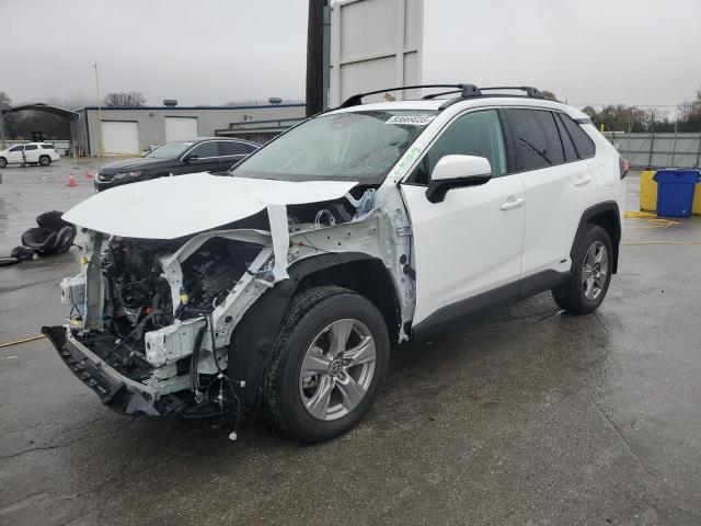 2025 TOYOTA RAV4 XLE #3305334300