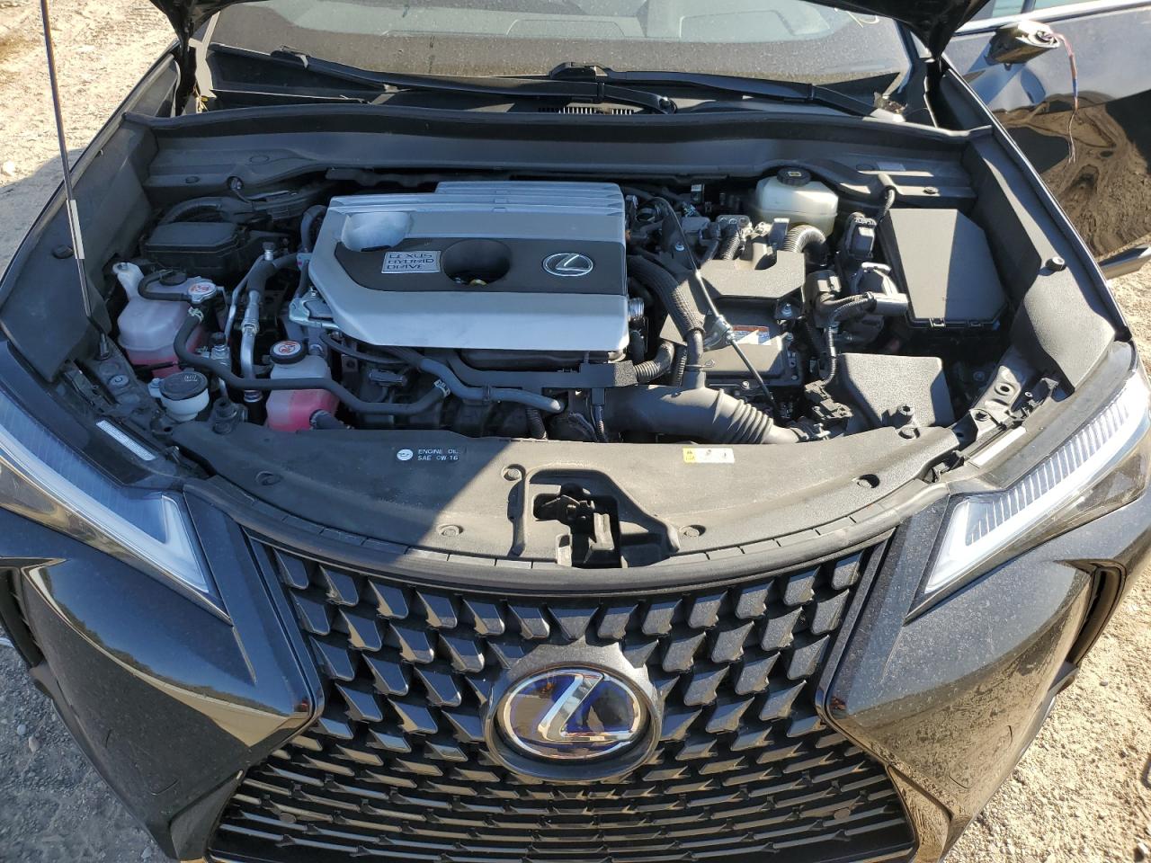 LEXUS UX 250H
