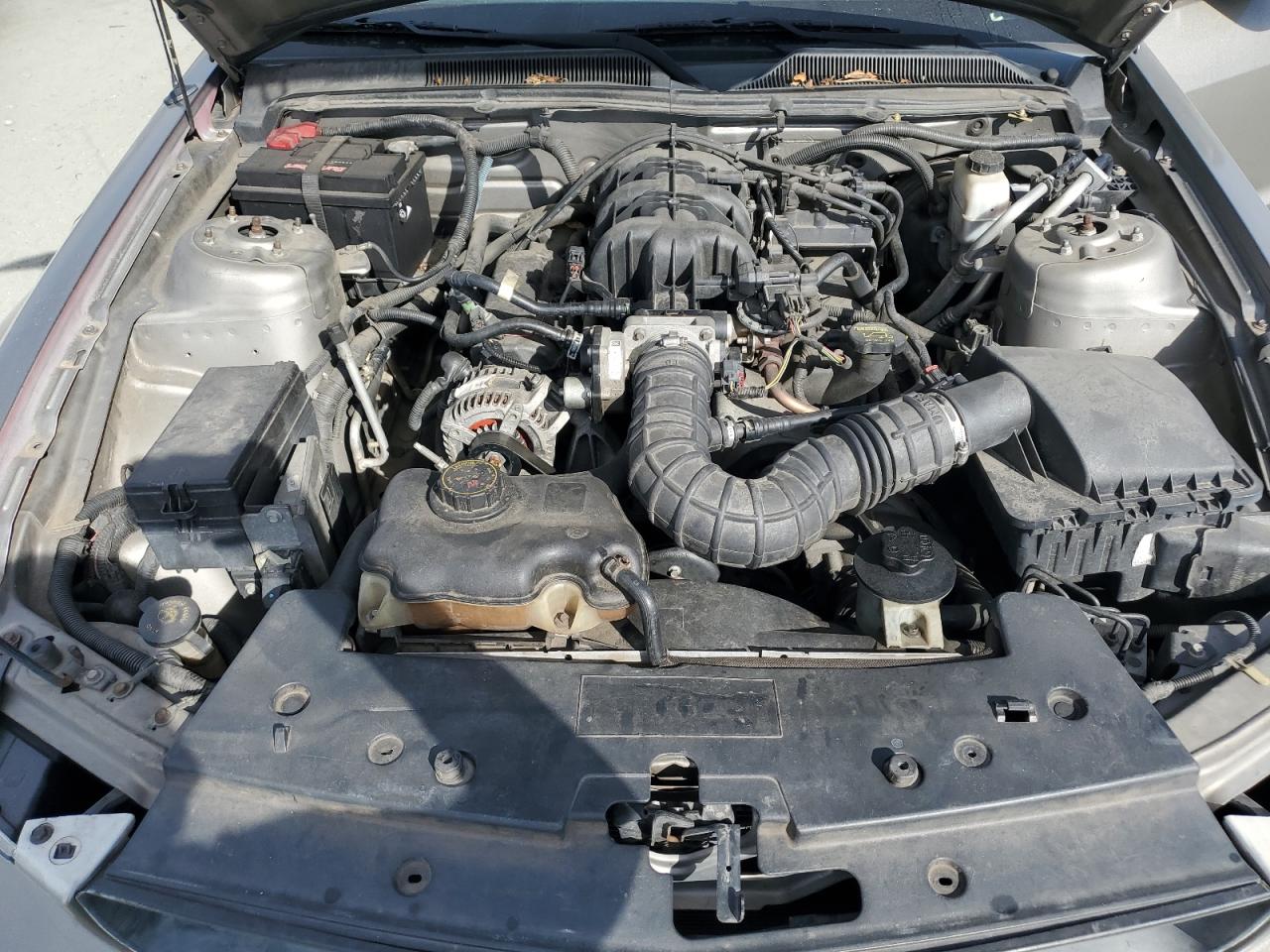 Lot #3291416142 2009 FORD MUSTANG