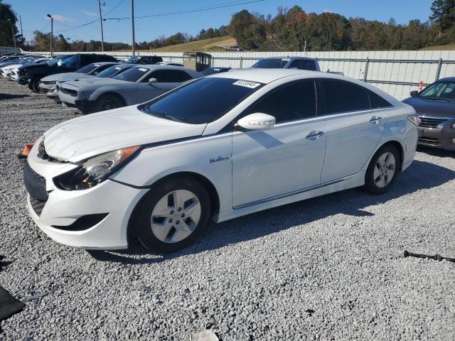Global Auto Auctions: 2012 HYUNDAI SONATA HYB