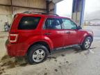 Lot #3303873693 2011 FORD ESCAPE XLT