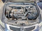 Lot #3305342303 2010 HONDA ACCORD LX
