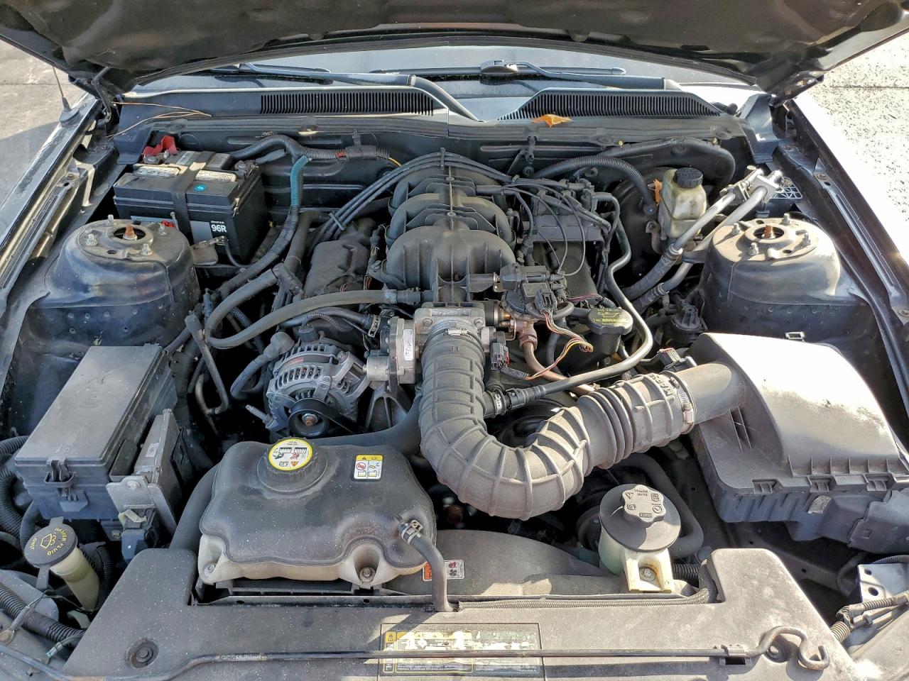 Lot #3301835371 2009 FORD MUSTANG