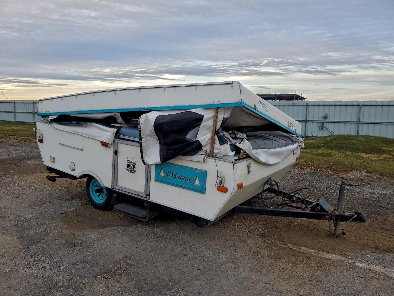 Lot #3302905005 2003 PALOMINO PALOMINI