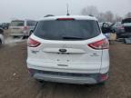 Lot #3296256459 2014 FORD ESCAPE SE
