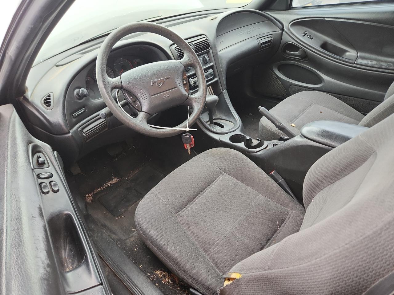 Lot #3301785341 2000 FORD MUSTANG