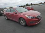 Lot #3293328451 2015 HYUNDAI SONATA ECO