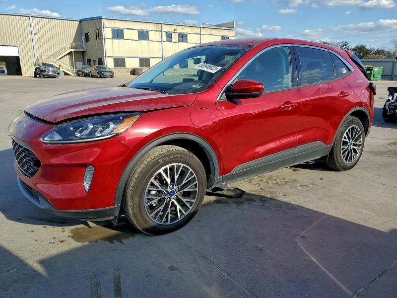 Global Auto Auctions: 2022 FORD ESCAPE SEL