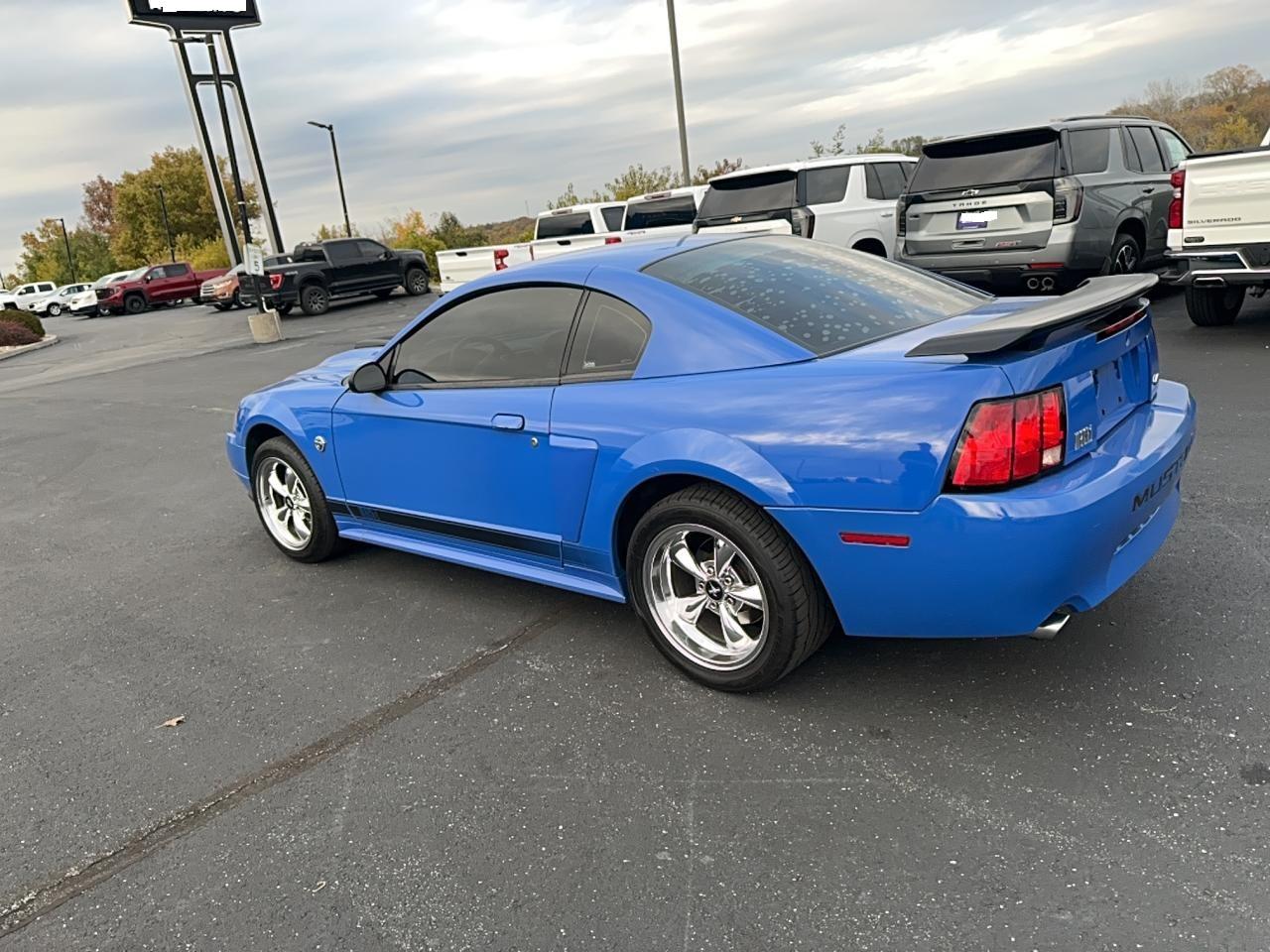 Lot #3283912349 2004 FORD MUSTANG MA