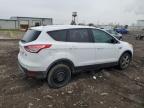 Lot #3315614772 2013 FORD ESCAPE SE