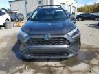 Lot #3296395650 2024 TOYOTA RAV4 XLE