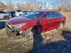 Lot #3303724492 2015 HYUNDAI SONATA SE