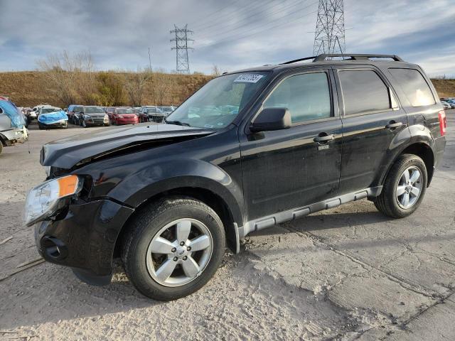 Global Auto Auctions: 2012 FORD ESCAPE XLT