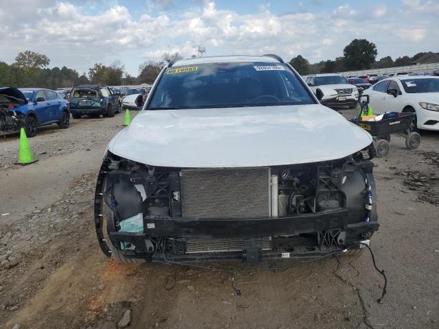 2024 HYUNDAI SANTA CRUZ #3296412656