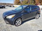 Lot #3296355191 2016 FORD ESCAPE SE