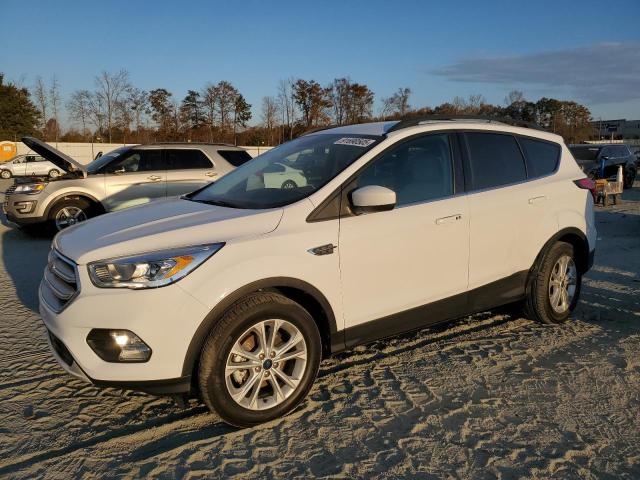Global Auto Auctions: 2019 FORD ESCAPE SEL