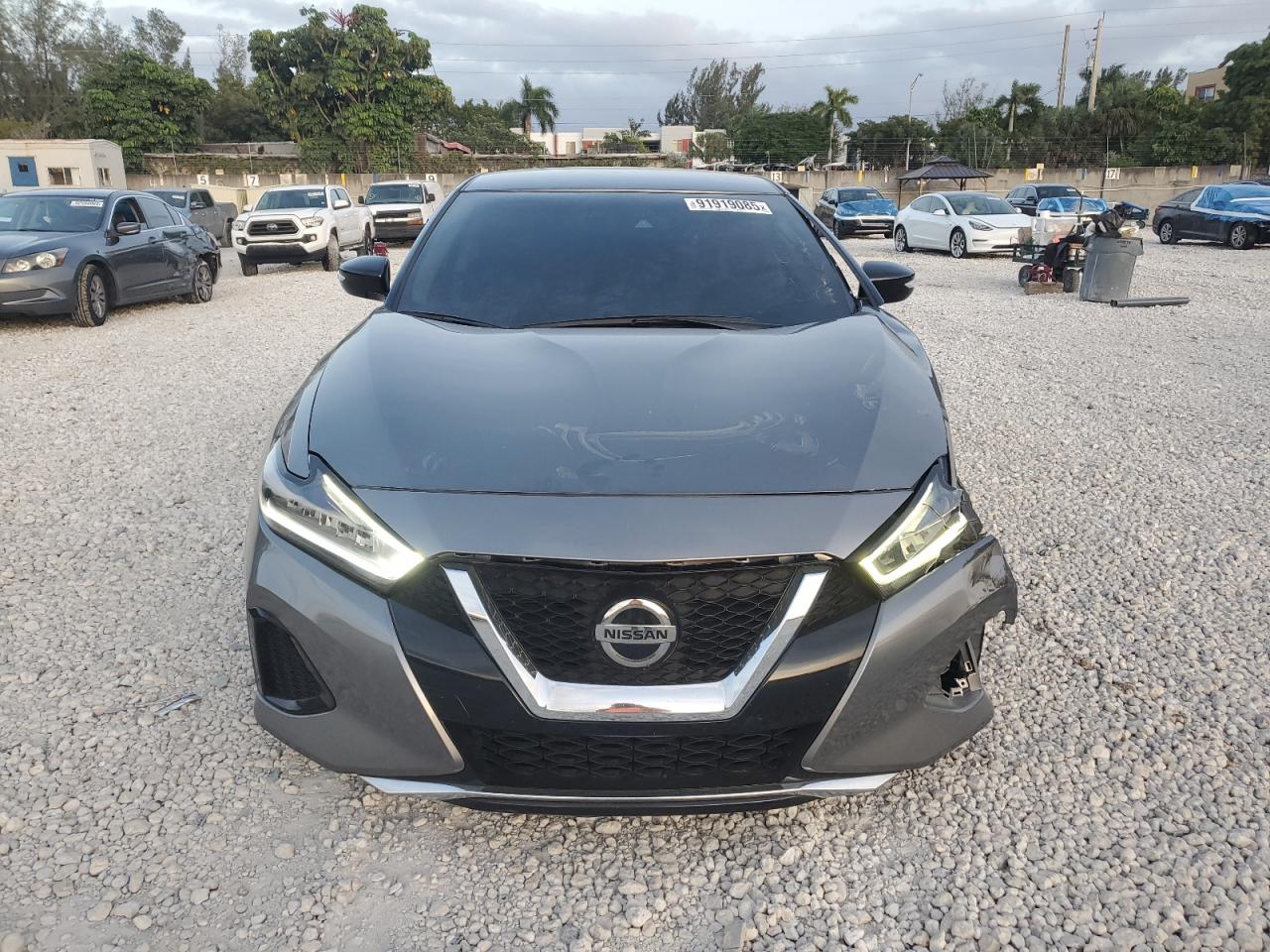 Lot #3302798943 2022 NISSAN MAXIMA SV