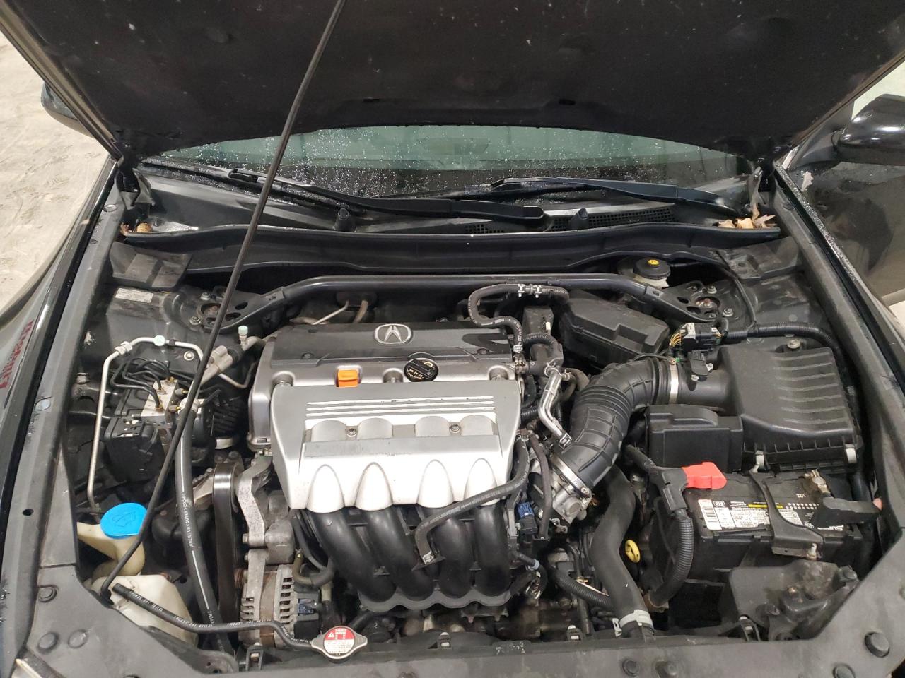 Lot #3309624140 2010 ACURA TSX