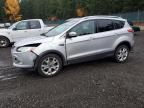Lot #3305493125 2014 FORD ESCAPE TIT