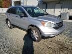 Lot #3297989103 2011 HONDA CR-V SE