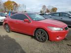 Lot #3297989033 2010 HONDA ACCORD EX