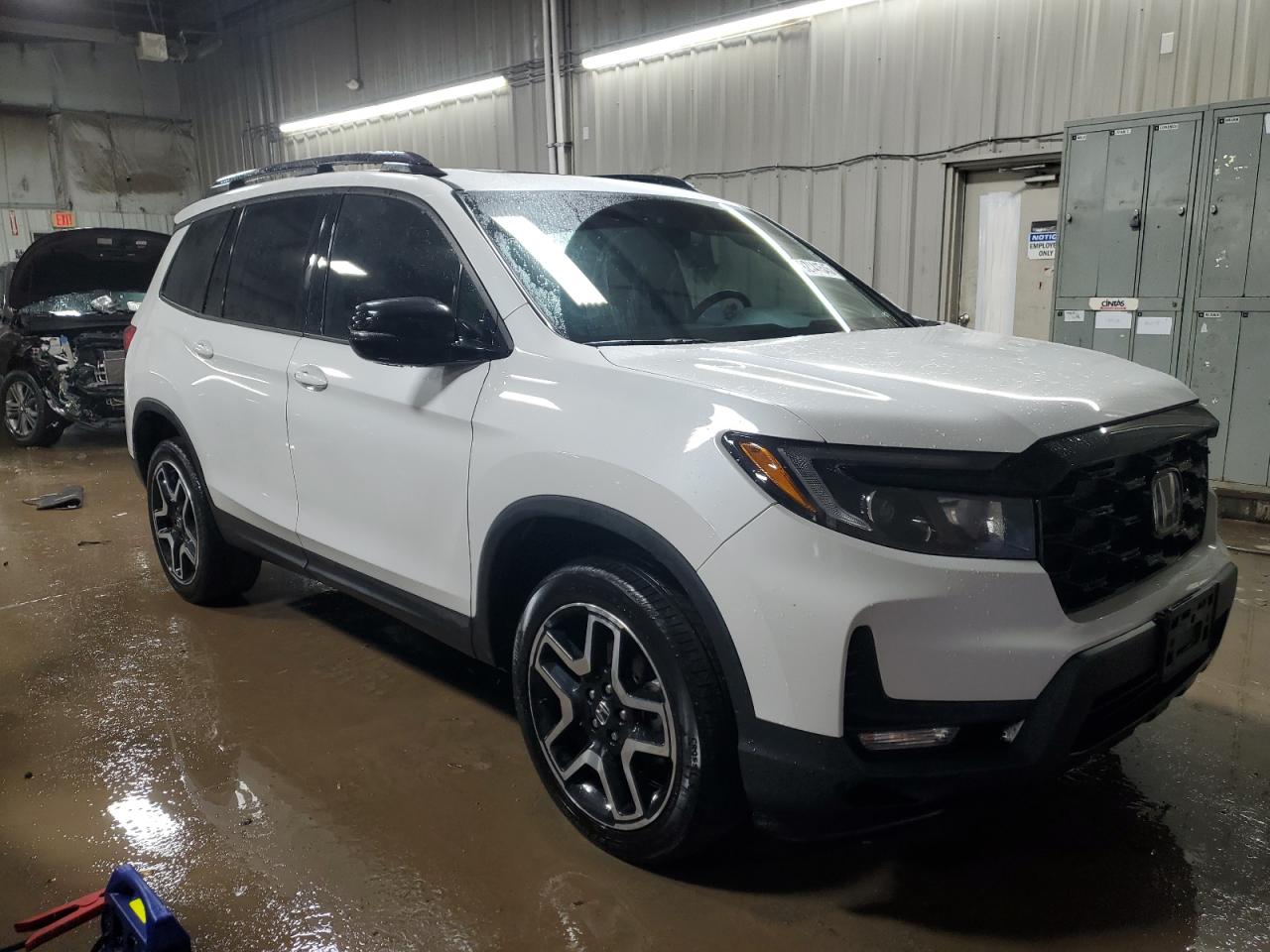 HONDA PASSPORT ELITE