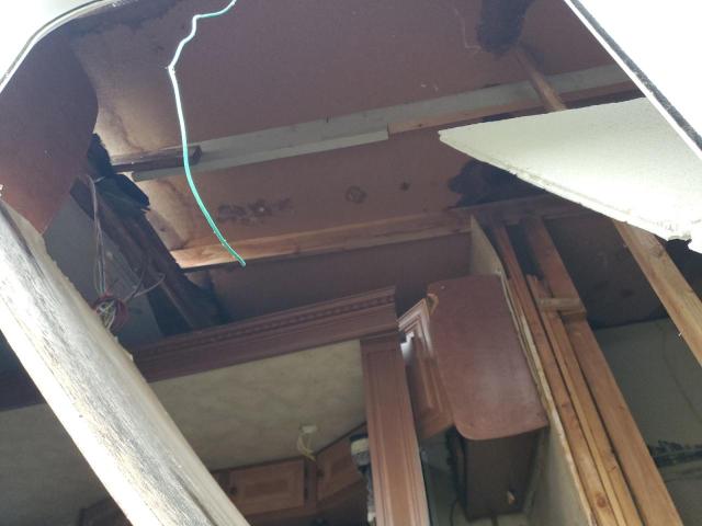 2014 NRTH ARTIC FOX #3309648943