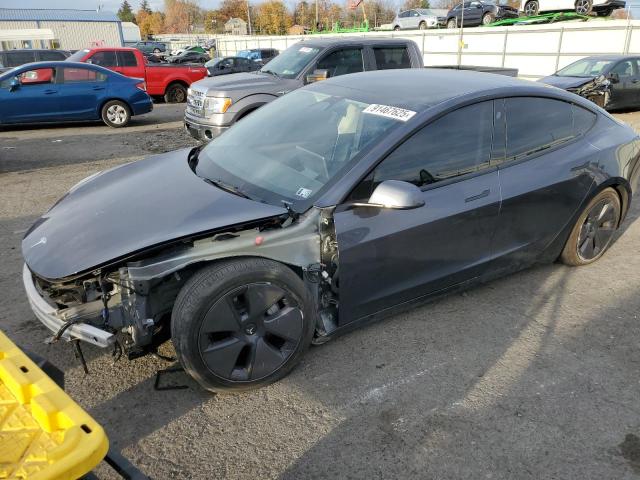 2023 TESLA MODEL 3 #3304669960