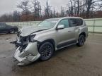 Lot #3305463079 2021 LEXUS GX 460 PRE