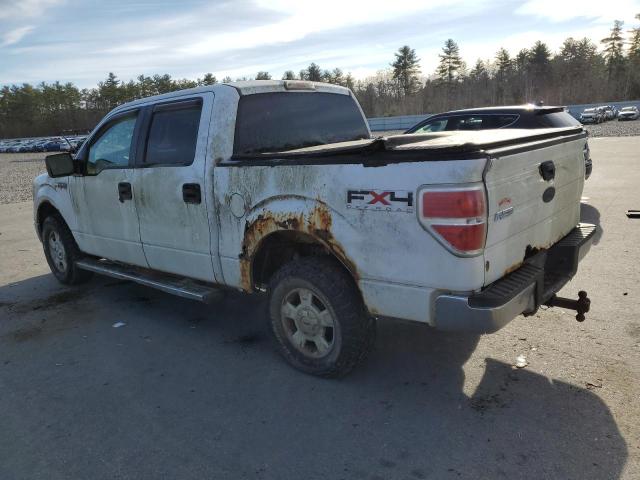 2010 FORD F150 SUPER #3293416053