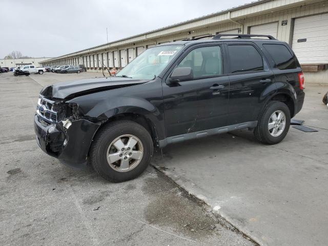 Global Auto Auctions: 2010 FORD ESCAPE XLT